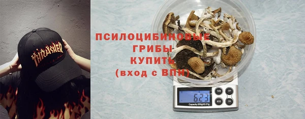МДПВ Белокуриха